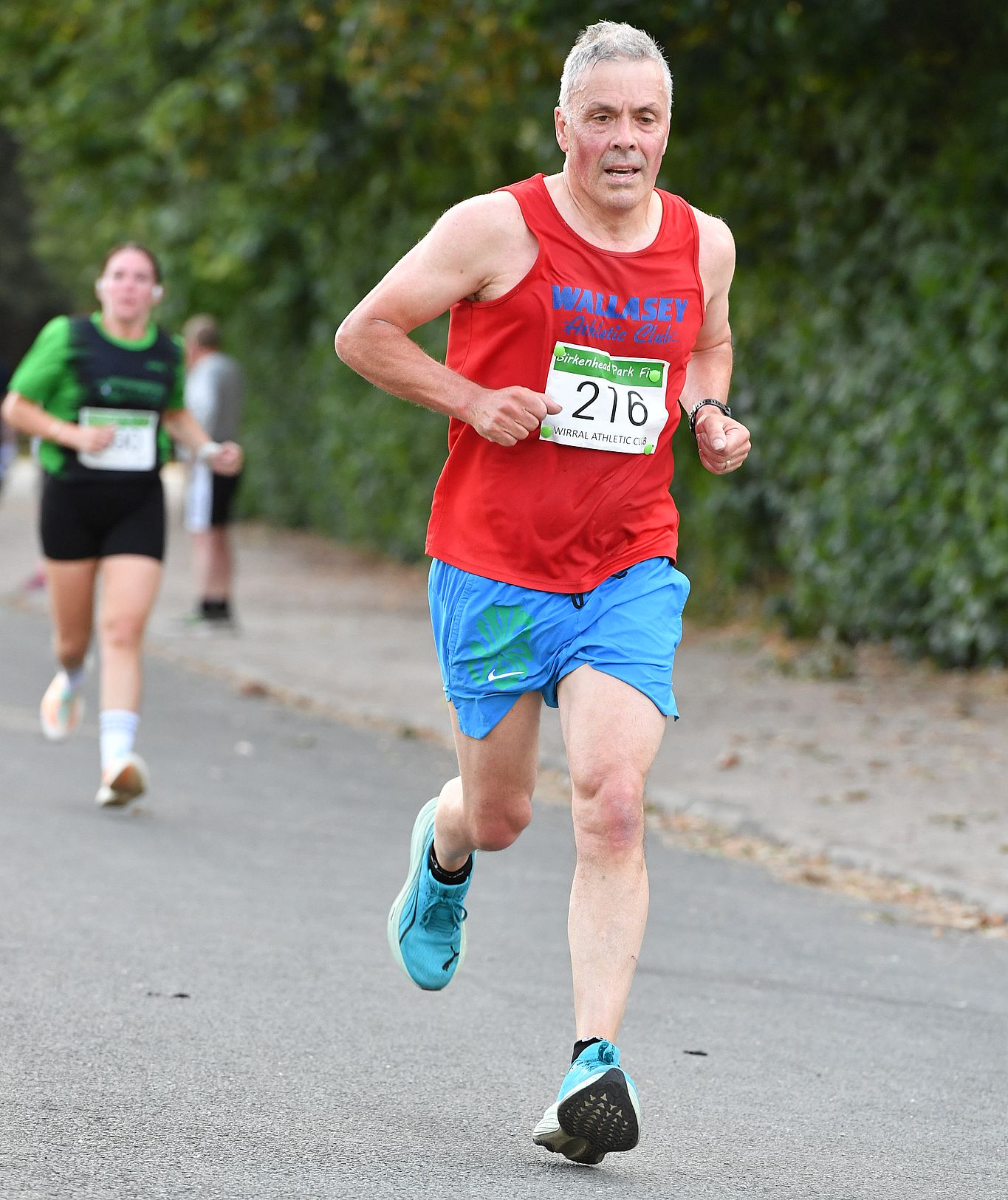 Steve Norton