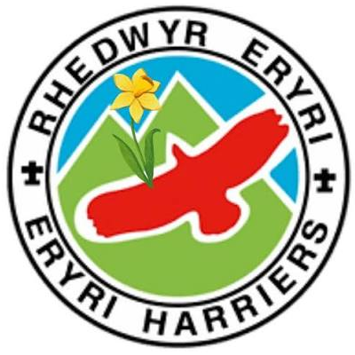 Eryri Harriers badge