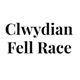 Clwydian Fell Race badge
