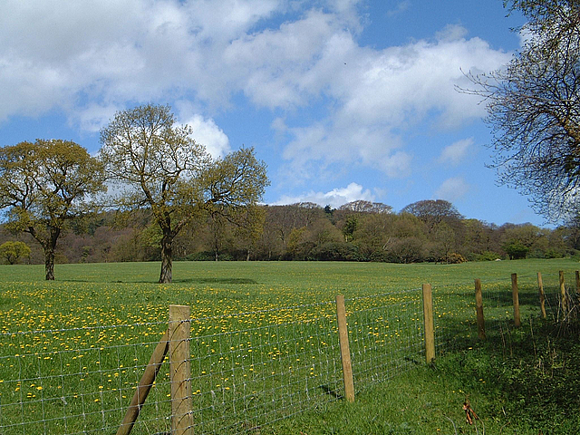 Witton Park, Blackburn